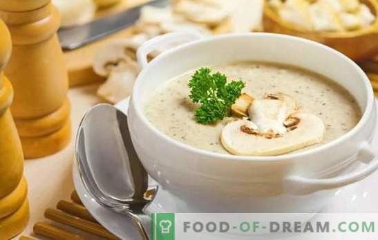 Geurige champignon-soepen: stap-voor-stap recepten. Maak een eenvoudige vulling en Europese roomsoep van champignons (stap voor stap)