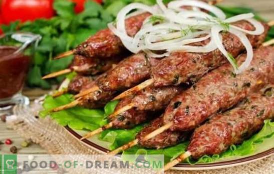 Traditionele kebab op de grill: van wat en hoe. Recepten voor lula kebab gemaakt van lamsvlees, varkensvlees, kip en aardappelen