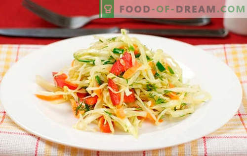 Koolsalade met paprika's - de beste recepten. Een salade koken met kool en paprika.