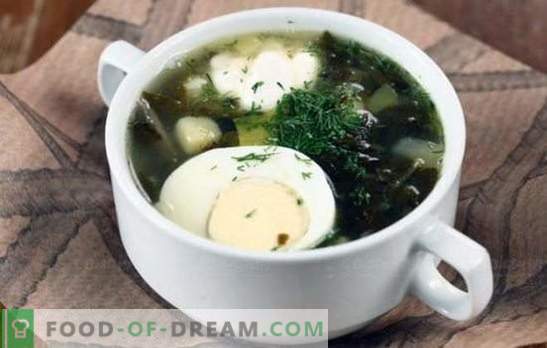 Groene soep - vitaminelading en heldere smaak! Recepten van verschillende groene soep met zuring en met kool, champignons, vis, brandnetels, bonen
