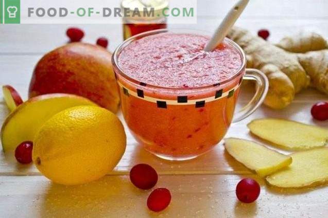 Fruit Cranberry Smoothie - Vitamine Cocktail