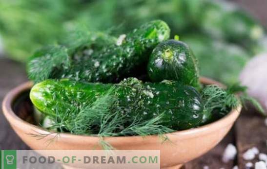 Snel recept voor gezouten komkommers: wees klaar voor de avond! De beste recepten voor snel gezouten komkommers met een crunch