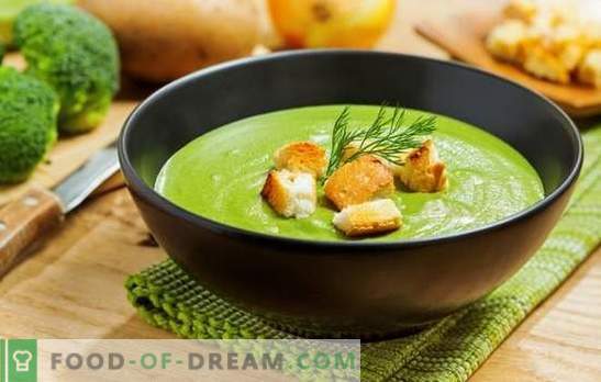 Broccoli-pureesoep - voor gezondheid, geest en mooie figuur. Recepten voor broccoli-roomsoepen met room, kaas, kip, champignons