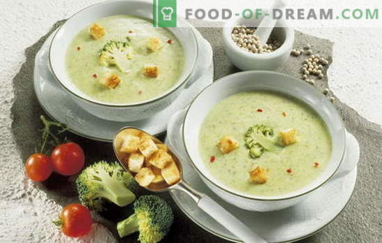 Een stevige dieet-soep maken: de beste recepten. Simpele groentesoep voor het dieet en niet alleen