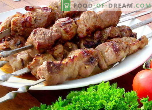 Beef Kebab - de beste recepten. Hoe goed en smakelijk koken kebab van rundvlees.