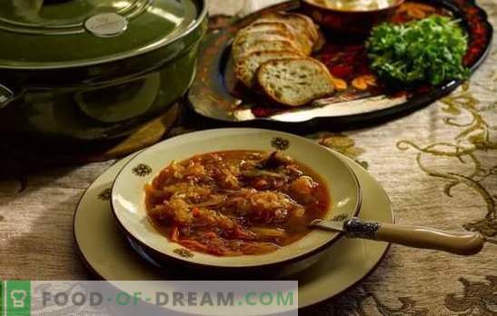 Dagelijkse soep - kook volgens oude recepten! Kooktechnologie, ingrediënten en verschillende variaties van de dagelijkse kool