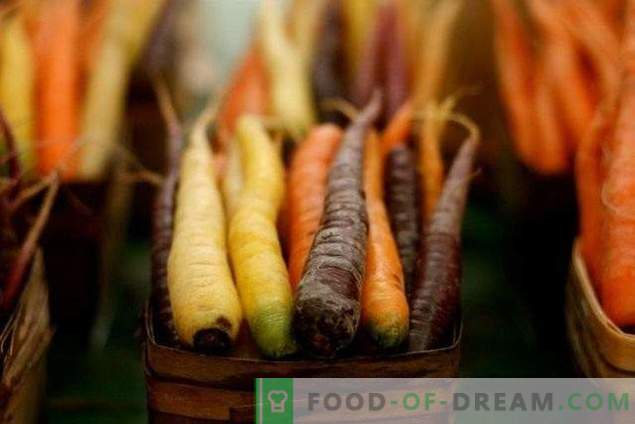 Nuttige eigenschappen van wortels