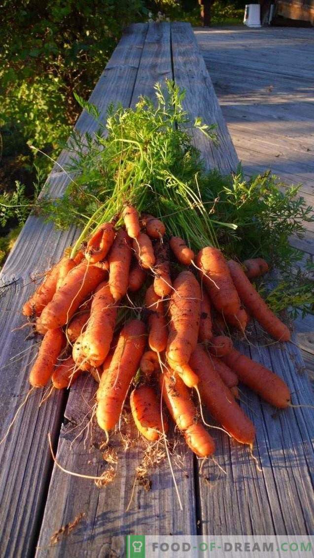 Nuttige eigenschappen van wortels