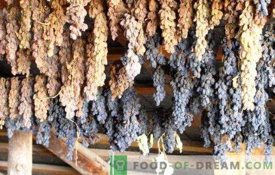 Rozijnen maken van druiven thuis - red de oogst! Alle manieren en tips voor het maken van goede rozijnen van druiven thuis