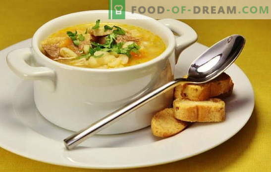 Eend soep: plantaardig, met asperges, rijst, erwt, pittig. Recepten voor smakelijke en rijke eendensoepen, eendensoep