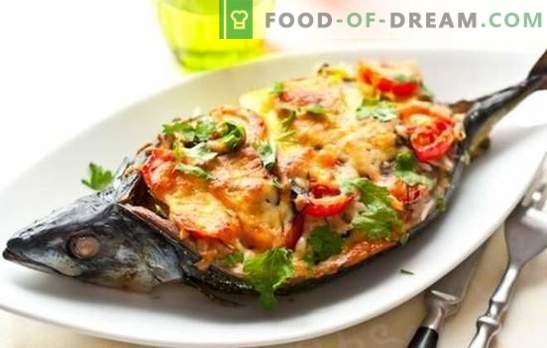 Wat snel en lekker koken voor het avondeten? Recepten voor snelle en smakelijke vis, kip, kwark en groenten voor familiediner