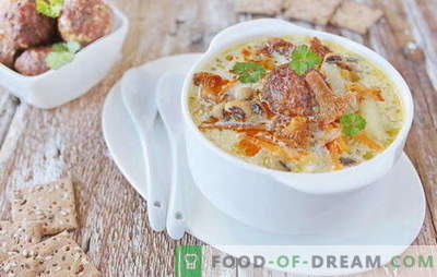 Suppe mit Fleischbällchen - befriedigendes Vergnügen! Verschiedene Rezepte für Suppe mit Fleischbällchen und Bohnen, Nudeln, Pilzen, Gemüse