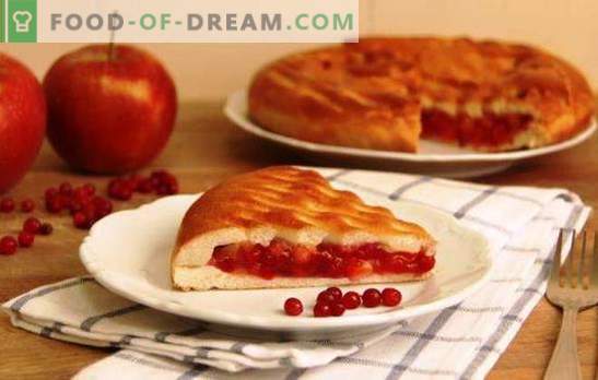 Apple en lingonberry taarten - voeg een zoete variëteit toe! Gist, bladerdeeg en zandkoekdeeg voor een taart met appels en bosbessen
