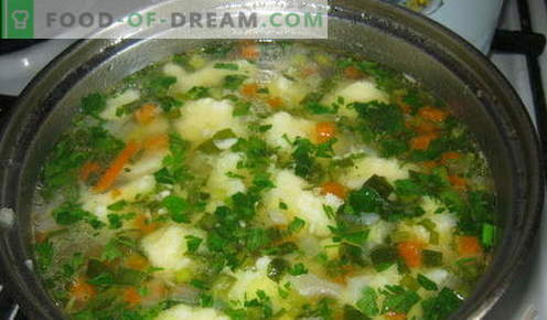 Bolsoep - de beste recepten. Hoe goed en smakelijk koken soep met dumplings.