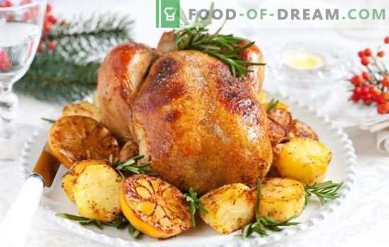 Turkije en aardappel: een veelzijdig gerecht voor een feestelijk tafel- en familiediner. Manieren om kalkoen te koken met aardappelen