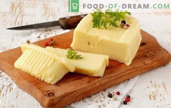 Zelf kaas maken met melk: zacht en hard. Recepten voor kaas uit melk thuis en technologie