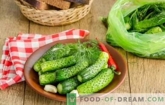 Gepekelde komkommers: snelle recepten met en zonder augurk. In een pot, zak, pan - versgezouten komkommers voor snelle recepten