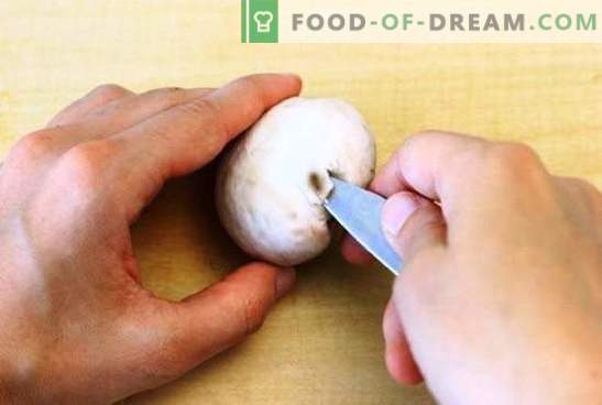 Hoe champignons schoon te maken: voor koken, frituren, marineren. Koken champignons voordat ze worden gekookt en waarom?