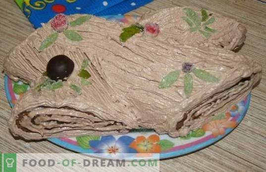 Kerstlog: een stapsgewijs foto-recept voor een Frans dessert. Lekkere kwark en oranje 
