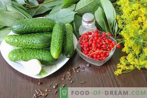 Komkommers gemarineerd met rode aalbessen - alle kleuren van de zomer in één kan