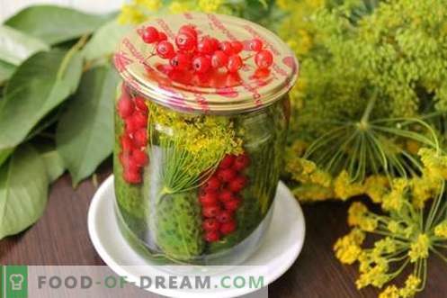 Komkommers gemarineerd met rode aalbessen - alle kleuren van de zomer in één kan