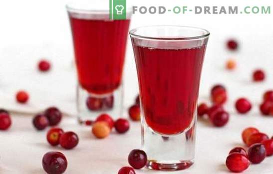 Cranberry-vulling thuis: geweldig! Interessante en ongebruikelijke recepten voor cranberrylikeuren van ambachtslieden thuis