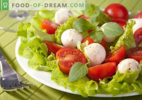 Salade met tomaten en kaas - bewezen culinaire recepten. Een salade koken met tomaten en kaas.
