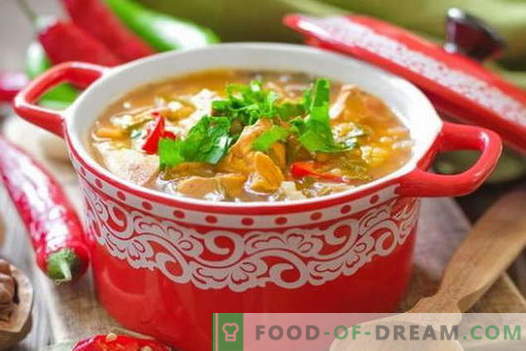 Chicken Kharcho-soep - de beste recepten. Hoe goed en smakelijk koken soep Kharcho van kip.