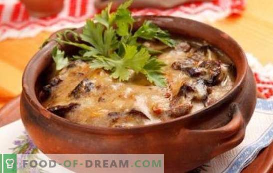 Aardappelen met champignons in een pot - voor het dagelijks leven en vakantie! Verschillende recepten voor aardappelen met paddenstoelen in potten