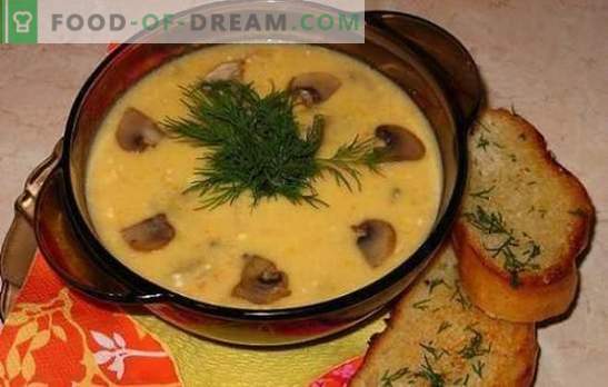 Supă de brânză cu ciuperci - delicată, gustoasă, satisfăcătoare. Rețete de cele mai bune supe de brânză cu ciuperci și pui, legume și carne afumată