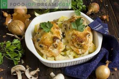 French-style chicken meat with champignons and potatoes