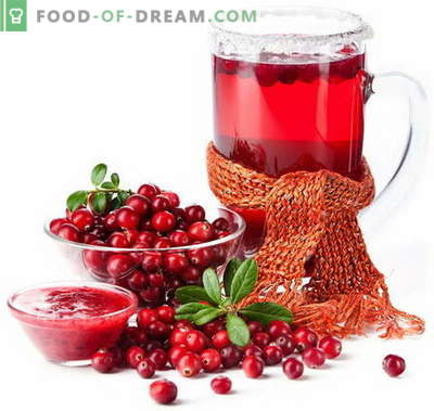 Cranberry-sap - de beste recepten. Hoe cranberrysap op de juiste manier en smakelijk te koken.